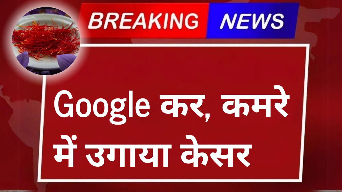 Google Help, I Grew Saffron Right in My Room