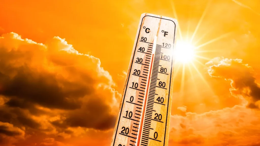 Heatwave Alert: Temperatures Soar to 42°C in Various Parts of the Country